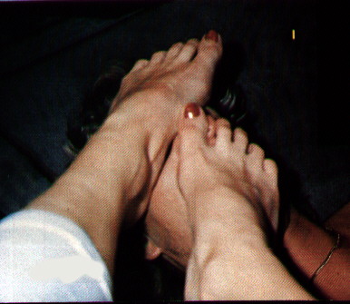 my042.jpg (42971 byte)